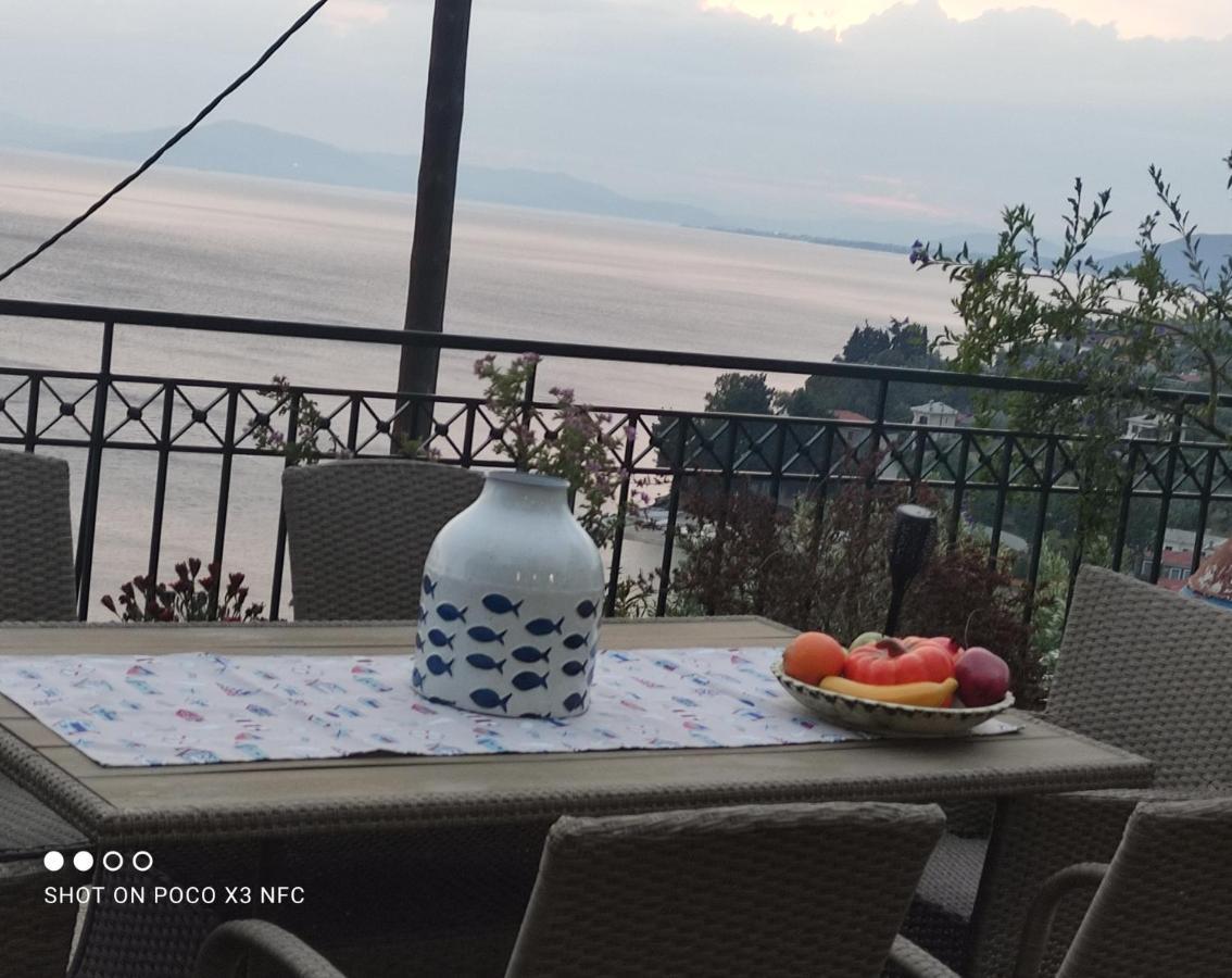 MESONISI με υπέροχη θέα στον Παγασητικό!! Βίλα Άφησσος Εξωτερικό φωτογραφία